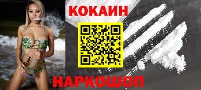 альфа пвп Новодвинск