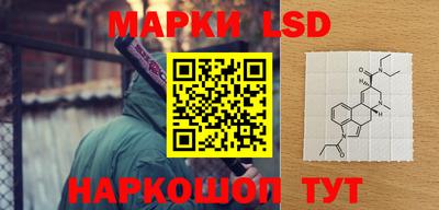 альфа пвп Новодвинск