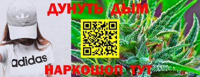 альфа пвп Новодвинск