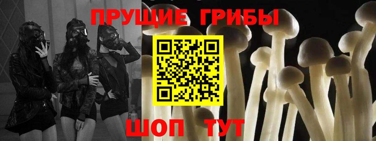 Псилоцибиновые грибы Psilocybe  Вход с VPN  Галлюциногенные грибы GOLDEN TEACHER  Холмск 